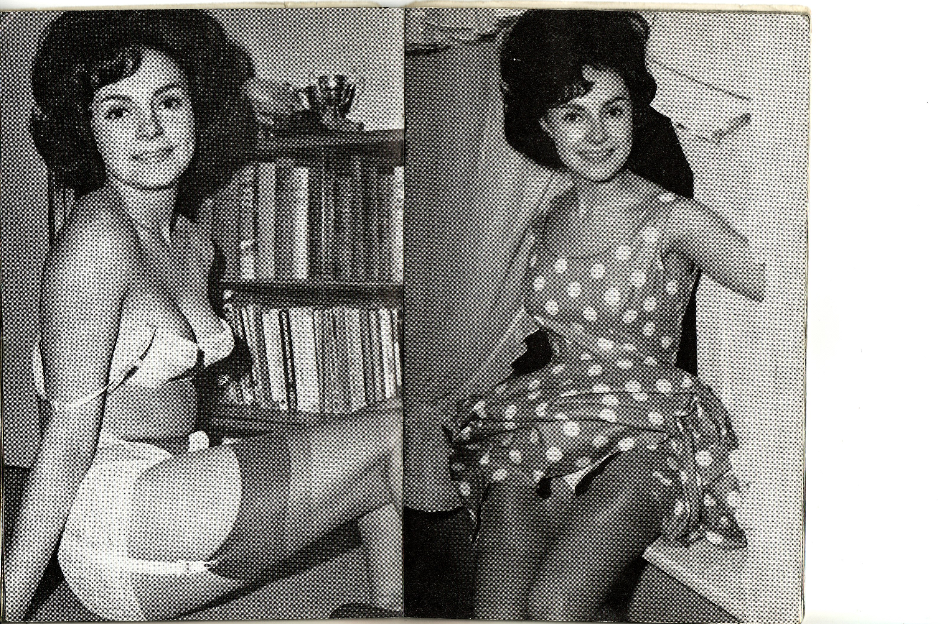 Jamie Summers Vintage Stockings Pictures